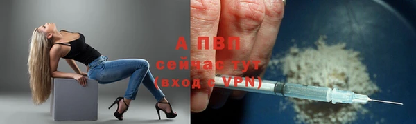 a pvp Абаза